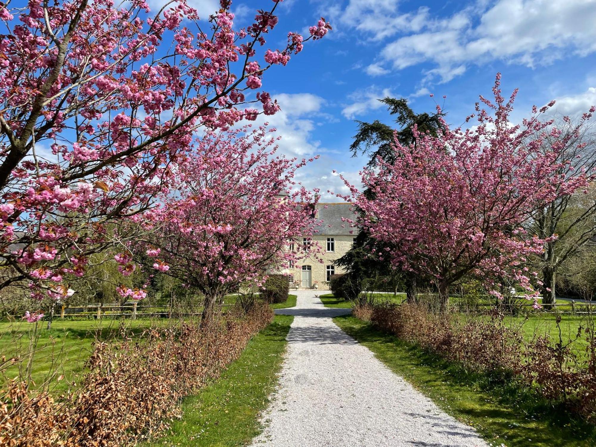 Chateau De Monfreville Exterior photo